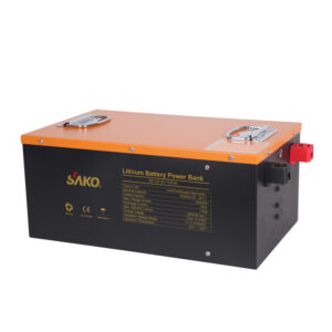 SAKO SK-24V100AH lithium battery-4