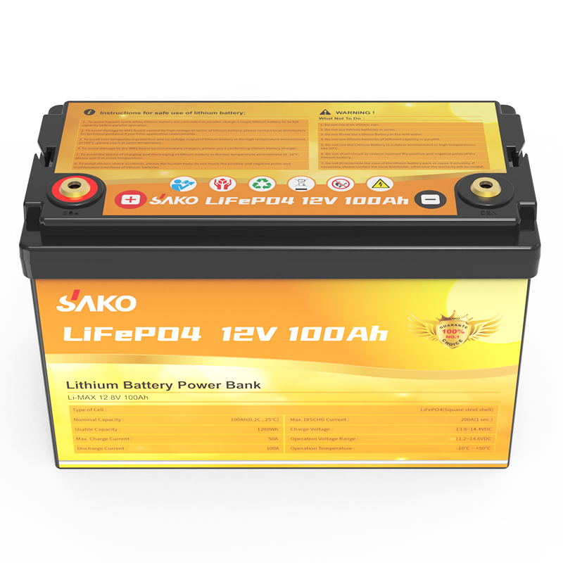Bundle] 100AH Lithium Battery 12V / 1,28KWh LiFePo4 with internal