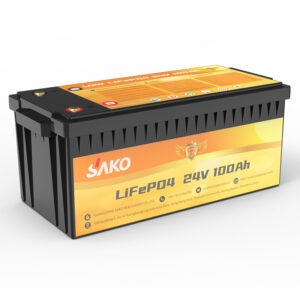 LI-MAX 24V100AH lithium battery-3