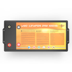 LI-MAX 24V100AH lithium battery-4